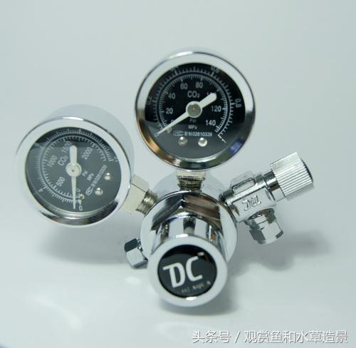 无二氧化碳无水草泥草缸造景,新手水草缸造景教程莫斯