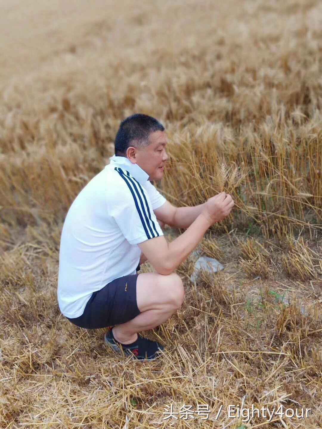 不会跳舞的体育老师后续,广场舞都不会跳的人