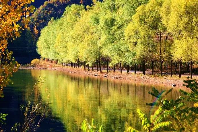 京西秋天最美的公路,北京秋天最美自驾公路