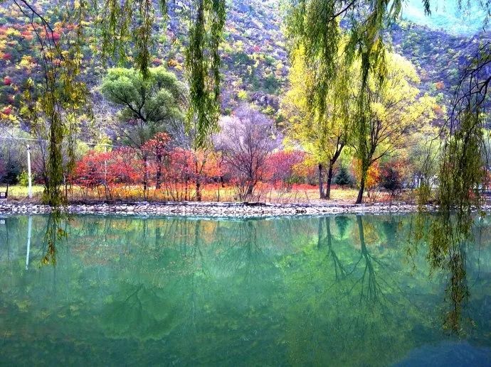 京西秋天最美的公路,北京秋天最美自驾公路