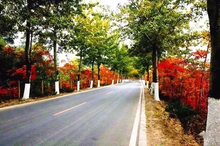 京西秋天最美的公路,北京秋天最美自驾公路