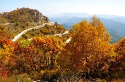 京西秋天最美的公路,北京秋天最美自驾公路