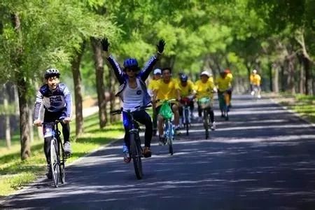 京西秋天最美的公路,北京秋天最美自驾公路