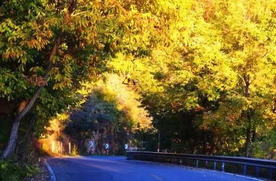 京西秋天最美的公路,北京秋天最美自驾公路
