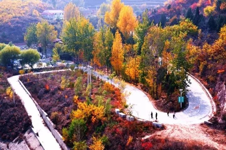 京西秋天最美的公路,北京秋天最美自驾公路