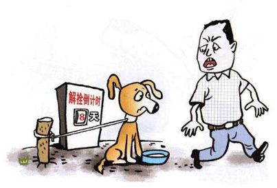 致死率100%的狂犬病有多厉害,致死率100%的狂犬病你该怎么预防