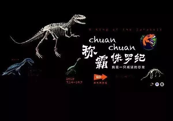 上海网红博物馆攻略,十大必打卡博物馆