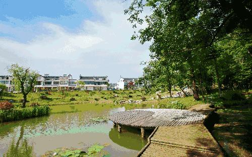 常州十大轻奢民宿,常州10天便宜民宿推荐