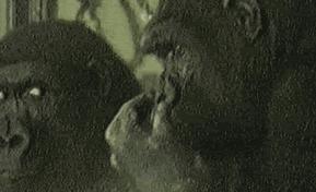 抠出来的鼻屎不要丢,隔壁家的小孩都馋哭了