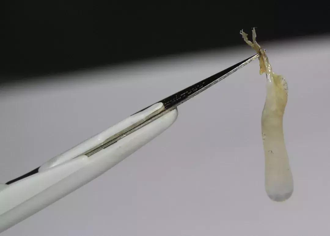 抠出来的鼻屎不要丢,隔壁家的小孩都馋哭了