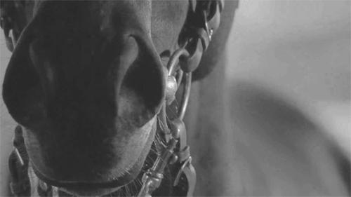 抠出来的鼻屎不要丢,隔壁家的小孩都馋哭了