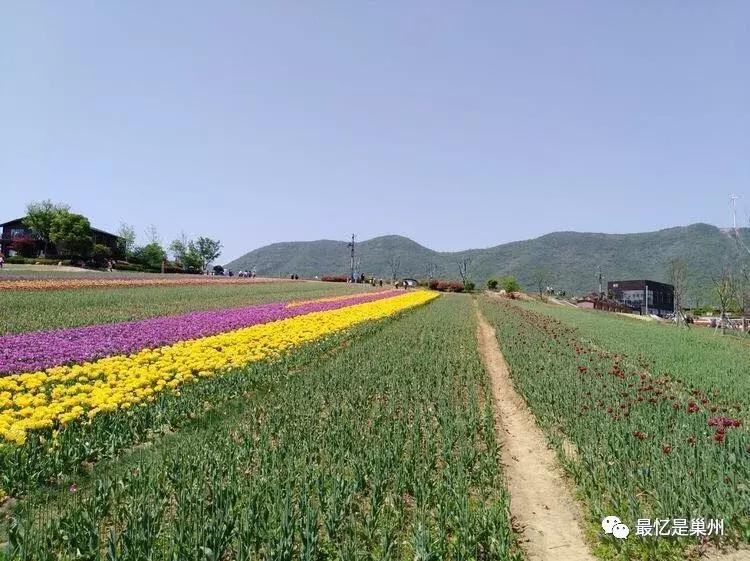 巢湖市最新路线图,巢湖最新发展规划