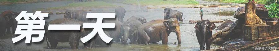 开学“B计划”之,印象斯里兰卡(一)!