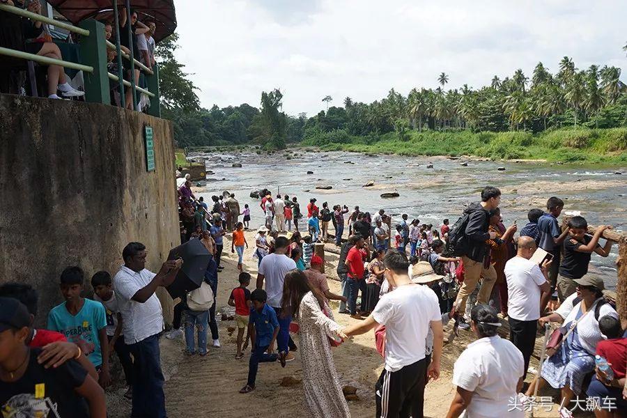 开学“B计划”之,印象斯里兰卡(一)!