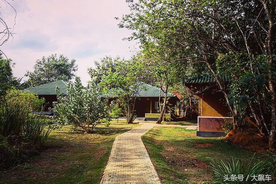 开学“B计划”之,印象斯里兰卡(一)!