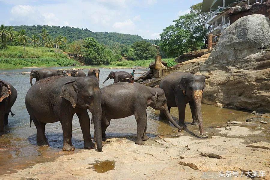 开学“B计划”之,印象斯里兰卡(一)!