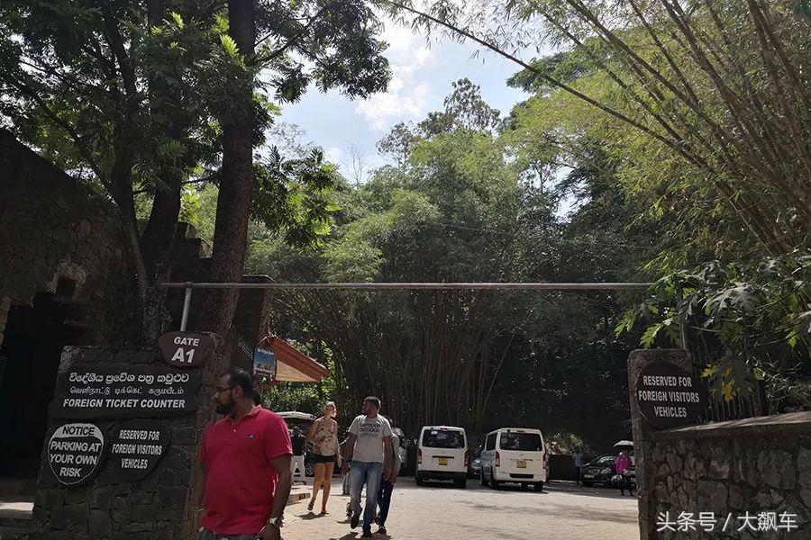 开学“B计划”之,印象斯里兰卡(一)!