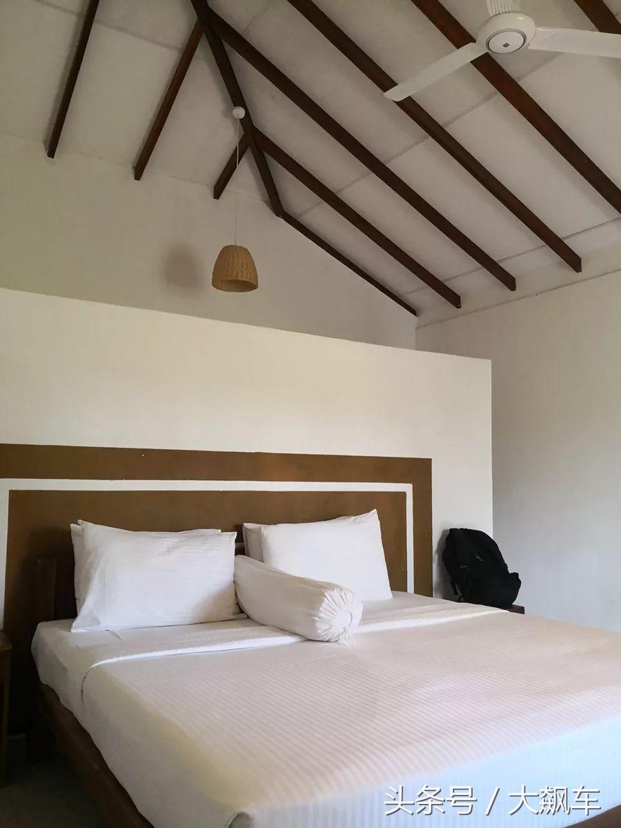 开学“B计划”之,印象斯里兰卡(一)!