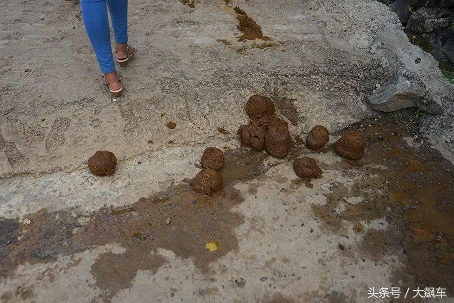 开学“B计划”之,印象斯里兰卡(一)!