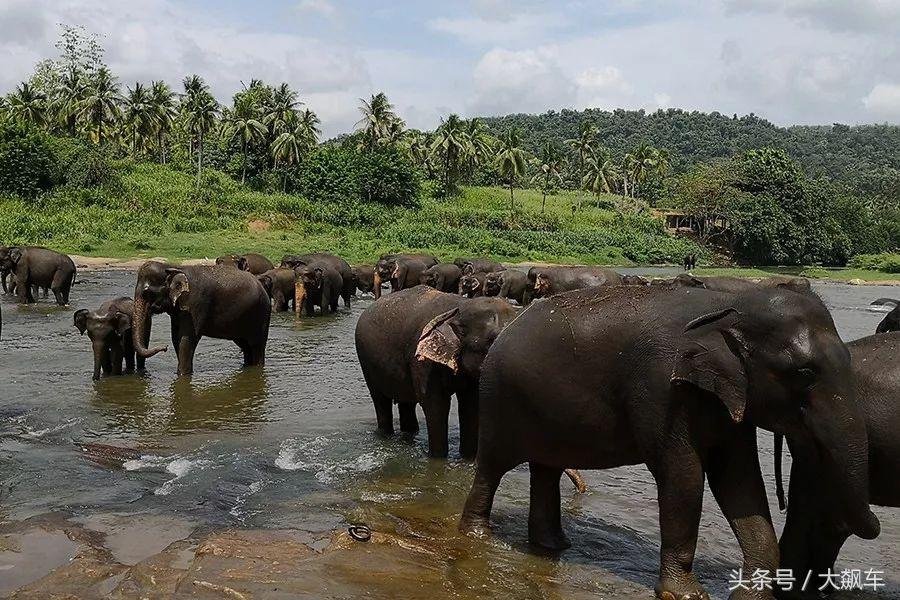 开学“B计划”之,印象斯里兰卡(一)!