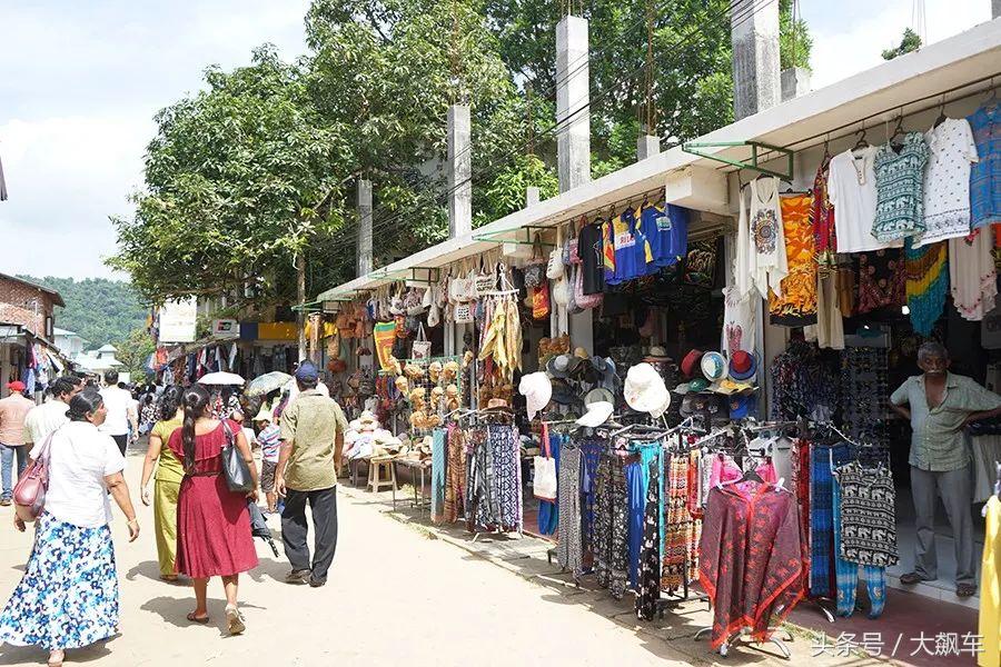 开学“B计划”之,印象斯里兰卡(一)!