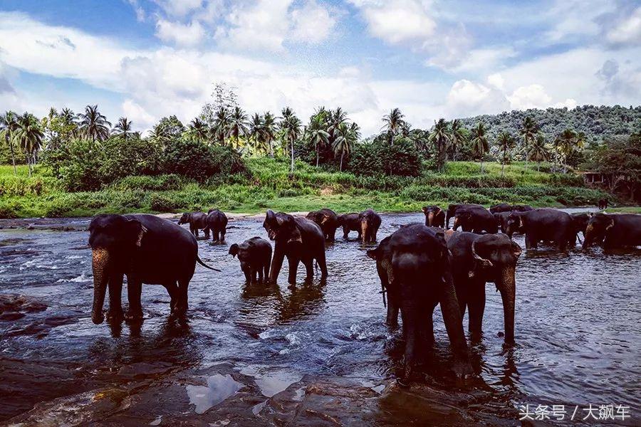 开学“B计划”之,印象斯里兰卡(一)!
