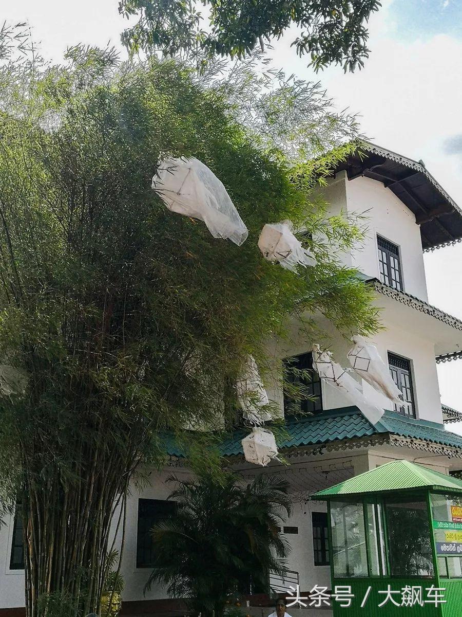 开学“B计划”之,印象斯里兰卡(一)!