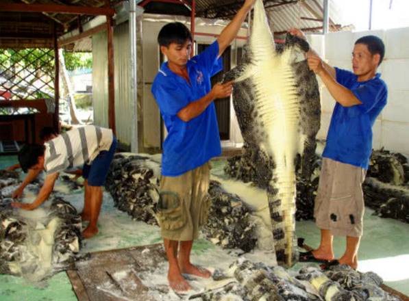 看了这些你还坚持买苹果吗,看了这些你还想买苹果吗