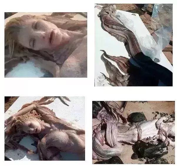 你看到的不一定就是真相原版,一张震撼世人的假照片