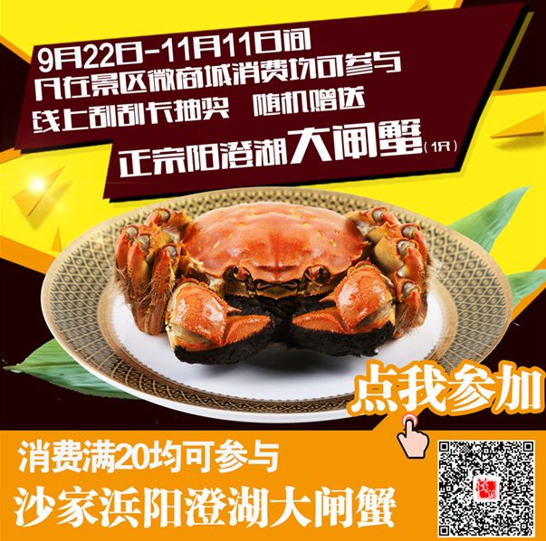 阳澄湖旅游吃大闸蟹民宿,沙家浜景区芦花湾住宿