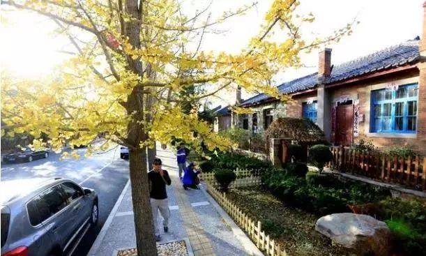 院子里适合种啥果子树,院子里栽几个树有讲究吗