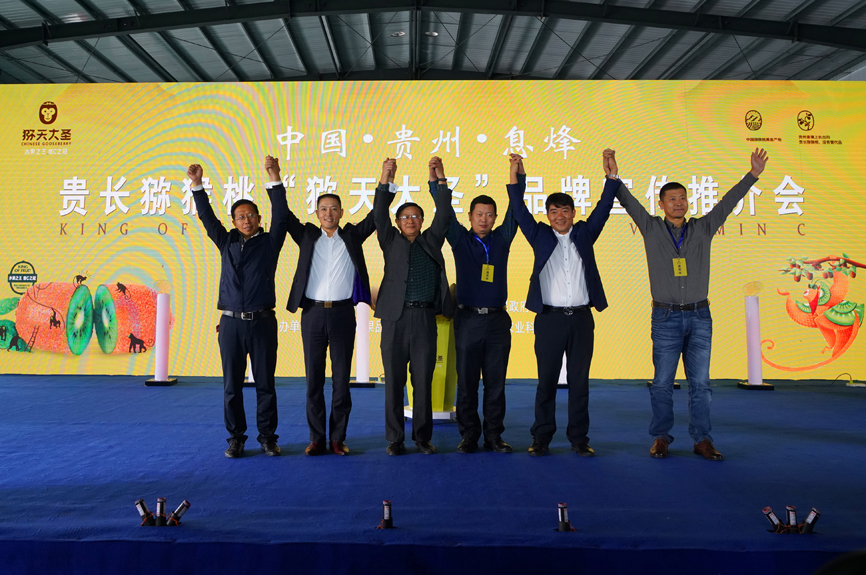 重庆市民国庆有口福了贵州息烽精品猕猴桃首次入渝