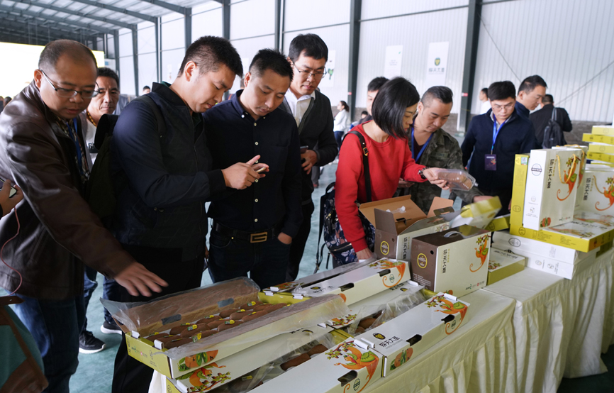 重庆市民国庆有口福了贵州息烽精品猕猴桃首次入渝