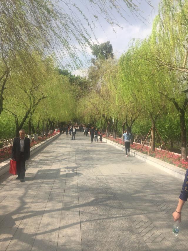 但使榕城沈记在不教他乡称漆神