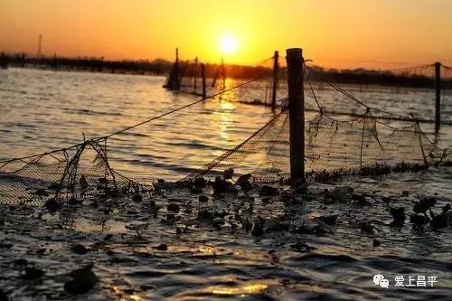 吃蟹的好去处,秋天北京哪里吃蟹最好