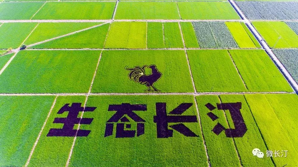 现任长汀县委书记廖深洪,长汀县原县委书记廖深洪