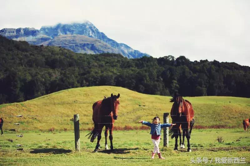 新西兰是不是最美丽的地方,新西兰到底有什么好玩
