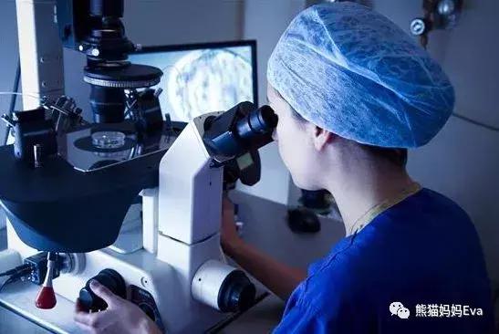 专家建议冻卵,冻卵子受罪吗