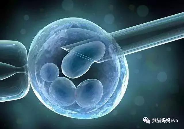 专家建议冻卵,冻卵子受罪吗