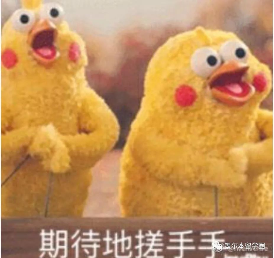 谁说留学澳洲是把毁容刀？种草这些，仙女在哪都是仙女！