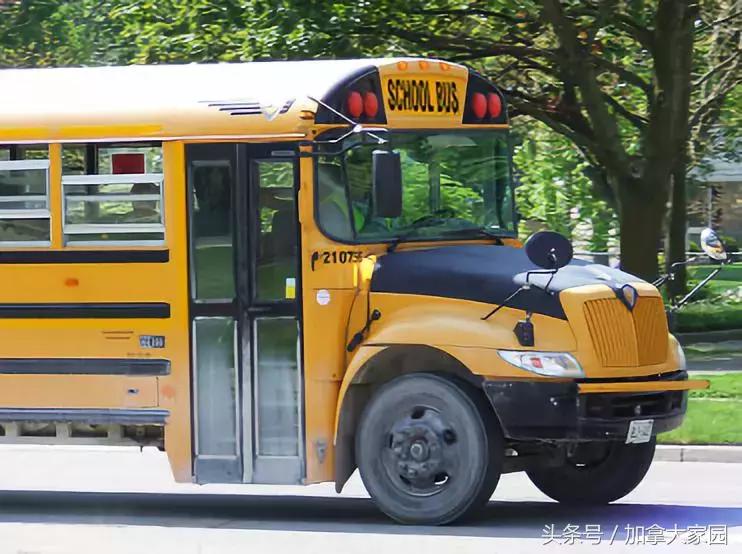 加拿大幼儿园校车司机给幼童吃自已精液食物，还拍成视频！