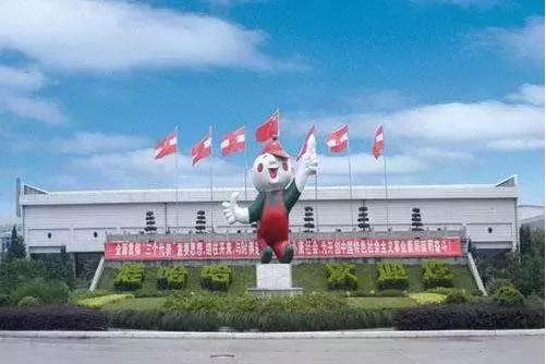 娃哈哈宗庆后事件,娃哈哈宗庆后的现状