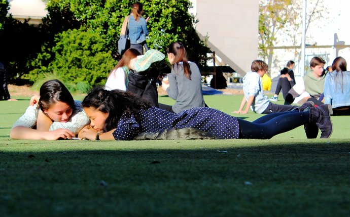 悉尼华人区chatswood舞狮 (悉尼十大富人区chatswood)