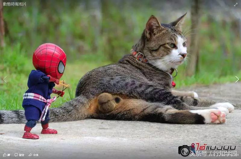 漫威蜘蛛侠背后你看不到的细节,漫威蜘蛛侠你背后看不到的秘密