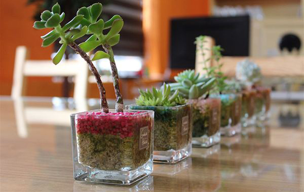 12个最有意思的生活妙招,有趣的生活小妙招大全