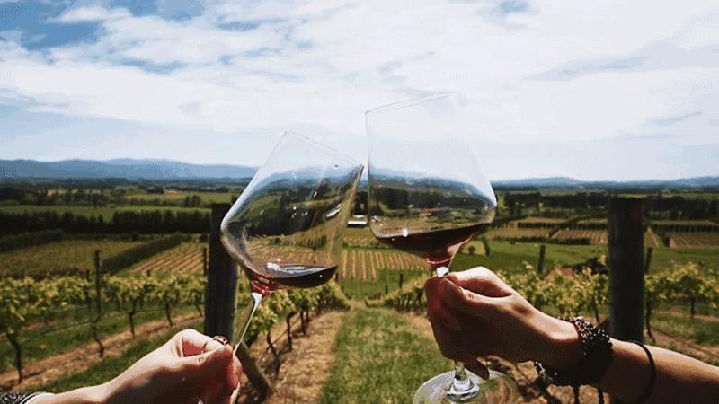 新西兰伴手礼清单,新西兰便宜的伴手礼