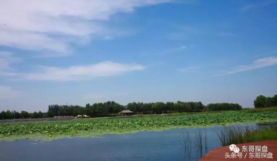 最后一栋瞰湖小高层,瞰湖小高层