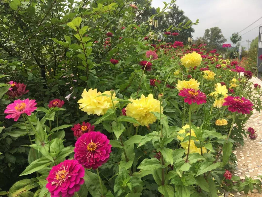 榆树市附近自驾游景点,榆树周边自驾去哪儿玩儿