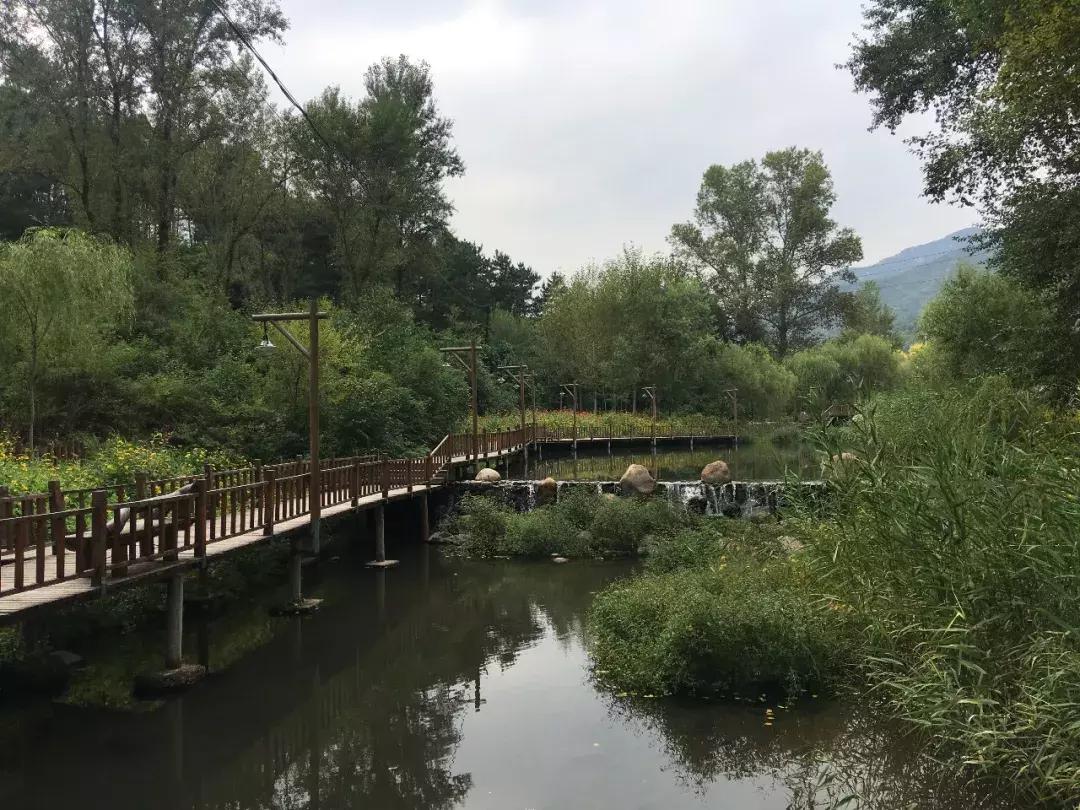 榆树市附近自驾游景点,榆树周边自驾去哪儿玩儿