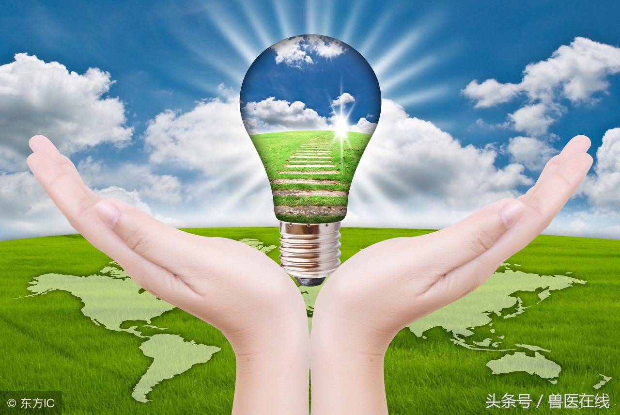 致病大肠杆菌如何产生,大肠杆菌会出现什么症状